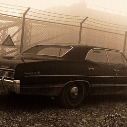 ���������, �����������, 43 ����