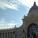 ���� ������, ���������, 46 ��� - ��������� 18 ����� 2017