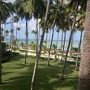 ���� ������, ������, 36 ��� - ��������� 31 ����� 2017 � ������ ���� ����������