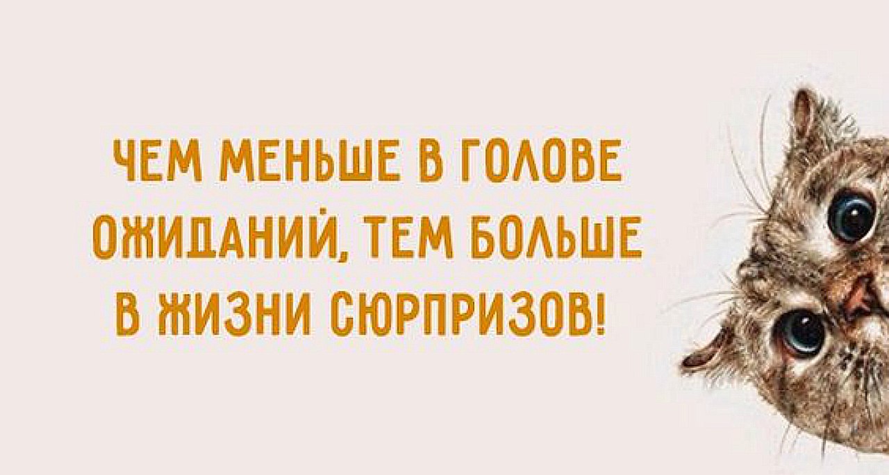 Тем более что в нашей. Позитивные высказывания. Позитивные высказывания для поднятия настроения. Позитивные цитаты. Позитивные цитаты для поднятия настроения.