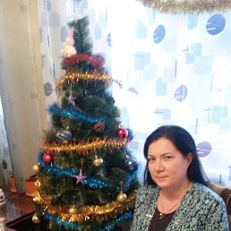 ����, 42 ����, ������