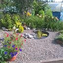 ���� �����, ������� - ��������� 29 ����� 2017 � ������ ���� ������� ����