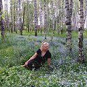 ����� ����. ���� 2016 �� ������� ���� ����������