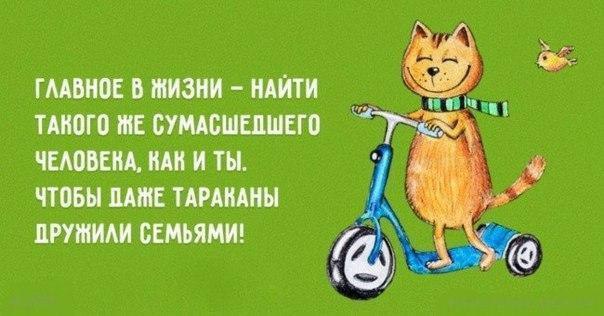 ...     - 8