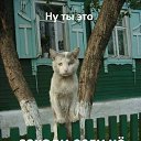 ���� ��������� ���������, ��������, 45 ��� - ��������� 25 �������� 2016