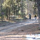 ���� Bear, �������, 48 ��� - ��������� 7 ������� 2016 � ������ ���������� ���� 2016�