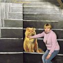 ���� �������, ������� - ��������� 6 ������ 2017 � ������ ������ �� ���������� ���������