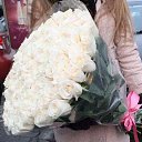 ���� Miasnik, ������, 70 ��� - ��������� 3 ������ 2016 � ������ ������ ��������