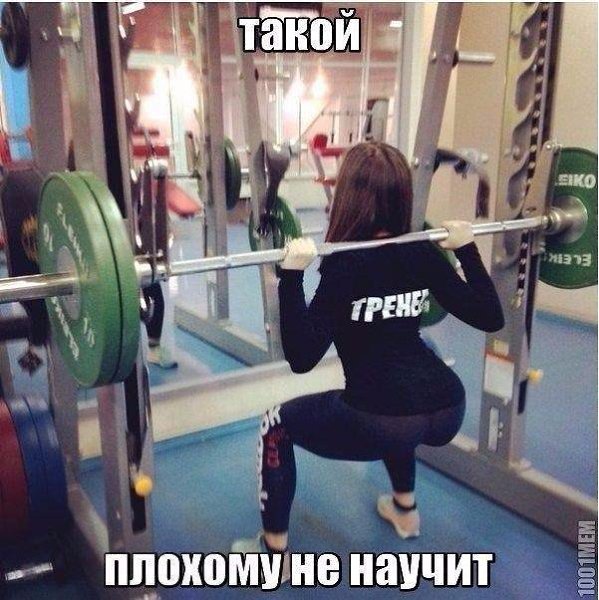  -   - 24  2017  13:04