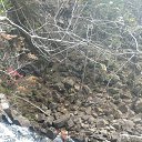 ���� �������, �����������, 45 ��� - ��������� 2 ������� 2016 � ������ ���� ����������