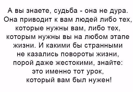   -  ,  -  - 7  2017  10:41