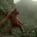 ���� �������, �������, 39 ��� - ��������� 28 ������� 2017 � ������ ���� ����������