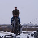 ���� ������, ��������, 45 ��� - ��������� 8 ����� 2017 � ������ �����������