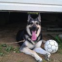 ���� ��������, ������, 48 ��� - ��������� 12 ����� 2017 � ������ ���� ����������