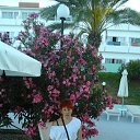 ���� Gala, ������ - ��������� 17 ������ 2016 � ������ ���� ����������