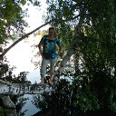 ���� ����, ������ - ��������� 29 ������ 2017 � ������ ���� ����������