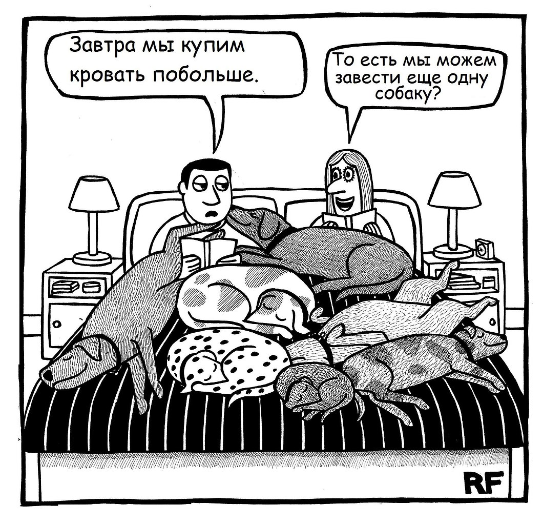 Всем больших кроватей! Спокойной ночи, друзья)