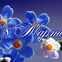 ���� ����, ������ - ��������� 7 ����� 2017 � ������ �������� ��������