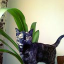 ���� �����, �������� - ��������� 28 ������ 2017