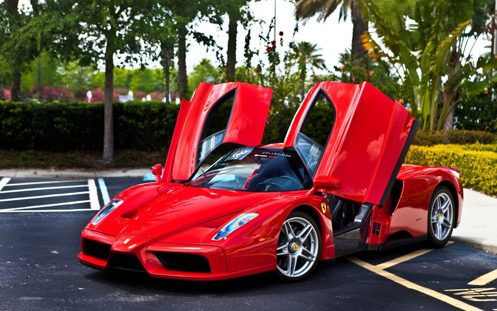 FERRARI STYLE - 16