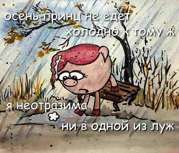 ������� ������ - 7 ������ 2016 � 17:35