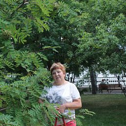 T������, ����������, 59 ���