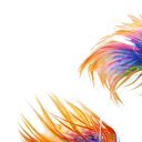 ���� �������, �����-���������, 39 ��� - ��������� 31 ������� 2016 � ������ ���� ����������