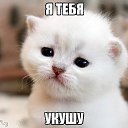 ���� ������, ������ - ��������� 5 ������� 2016 � ������ ��������