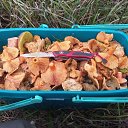 ���� �����, �����, 48 ��� - ��������� 2 ������� 2016 � ������ ���� ����������