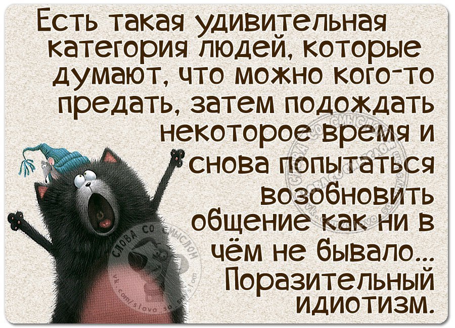 Категория людей. Статусы со смыслом про жизнь прикольные. Цитаты про жизнь прикольные короткие. Статусы про жизнь короткие прикольные. Цитаты приколы про жизнь короткие.