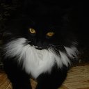 ��� ������! �� ������� ���� ����������