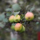 ���� �������, ������ - ��������� 13 ������� 2017 � ������ ���� ����������