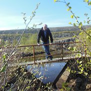 �������, 41 ���, �����