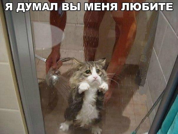 ������ ��������� :D - 12 ����� 2017 � 19:53