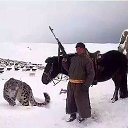 ���� ����, �������, 52 ���� - ��������� 15 ����� 2017