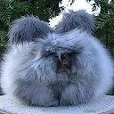 ���� ���������, �������, 40 ��� - ��������� 9 ������ 2016 � ������ ������ ��������