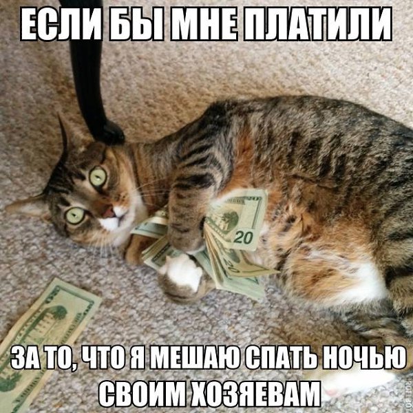  - 17  2016  18:51