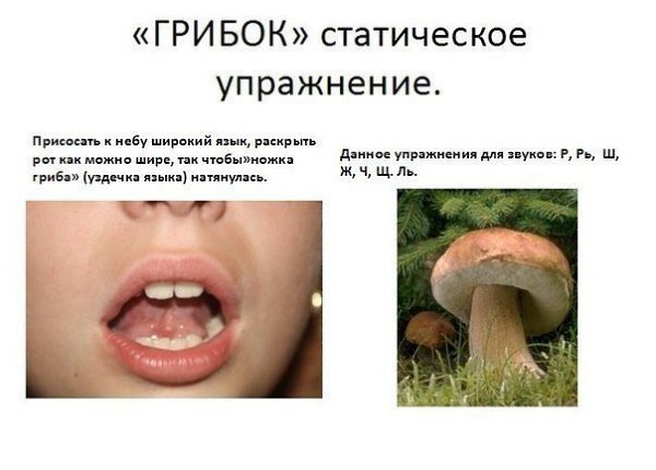 Логопедические упражнения для детей - Зарядка для язычка - 2