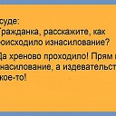 ���� ����, ���������� - ��������� 14 ������� 2016 � ������ ������ ��������