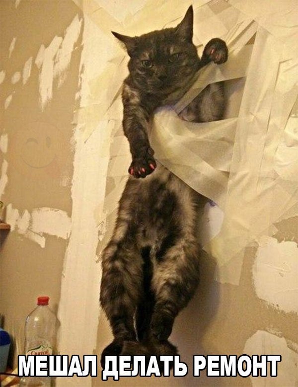    :D - 12  2016  19:31