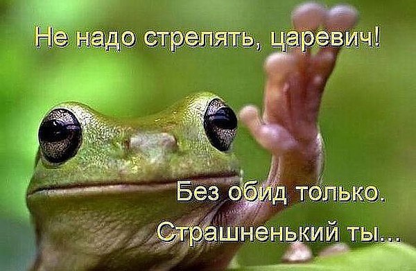 ������ - 24 ������� 2016 � 17:35