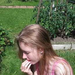 ���� ������, ������ - ��������� 3 ������ 2017