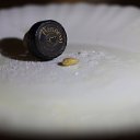 ���� �������, �����-��������� - ��������� 10 ����� 2017 � ������ ������ ��������
