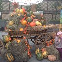 ������� ������� ����� � ������. 2016�. �� ������� ���� ����������