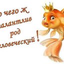 ���� �������, ����, 62 ���� - ��������� 28 ������� 2016 � ������ ������ ��������