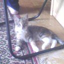 ���� ������, ����, 43 ���� - ��������� 30 ������ 2016 � ������ ���� ����������