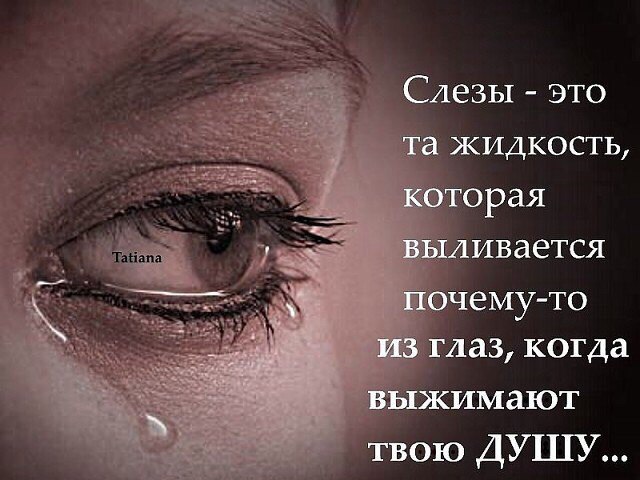  ....... - 3  2017  14:46