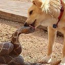 ������ ��� ������� ������ ������... �� ������� ����������� �����������