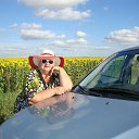 ���� ������, ������ - ��������� 31 ����� 2017 � ������ ���� ����������