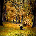 ���� ���������, ������, 69 ��� - ��������� 21 �������� 2016 � ������ �������